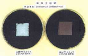 Koukabi