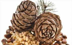 naftemporiki.gr Koukounari