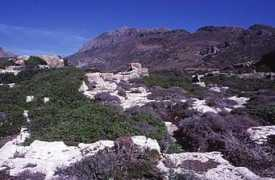 wolf-5.website.pl Koutri