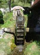 Kovaski