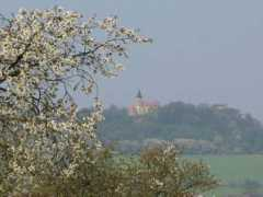 infokl.cz Krasikov
