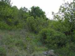en.balcanica.info Kresna
