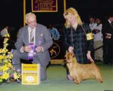 blackrangekennel.com Kricket