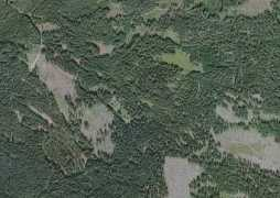 kohoutikriz.org Krickl