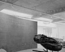 trendbeheer.com Krieman