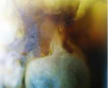 backdownsouth.gportal.hu Krilla