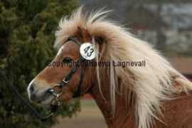 johannalagnevall.com Krillen