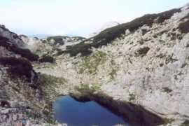 markyz.pohoda.com Kripl