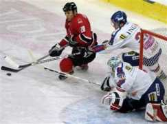 hockeygoalies.org Krizan