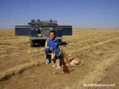 globosapiens.net Kroonstad