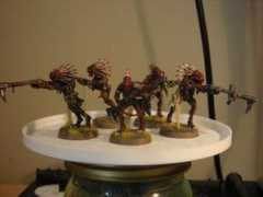 Kroot