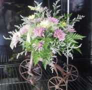 prairieblessings.com Krotzinger