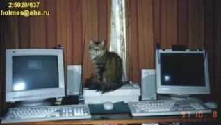 mac.citycat.ru Kruchenkov