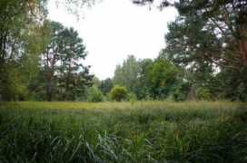 Krumme