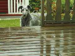 personal.inet.fi Krusse