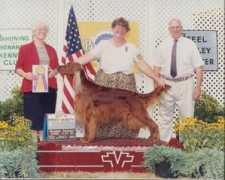 irishsetter.org.uk Kubacz