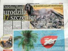 dogi.pl Kubalska