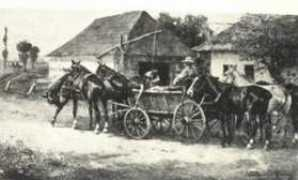 mke.hu Kubanyi