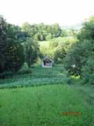 Kucica