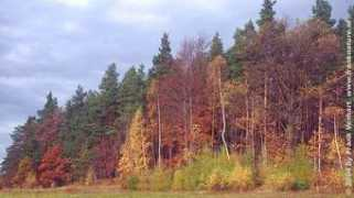 franknature.nl Kucznik