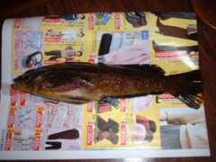 Kujime