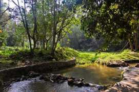 Kulim