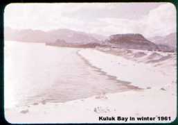 Kuluk