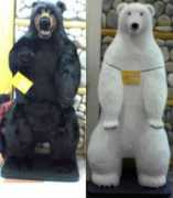 Kumakuma