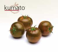 sprigsofrosemary.com Kumato