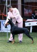 lasarmoniaskennel.com Kumico