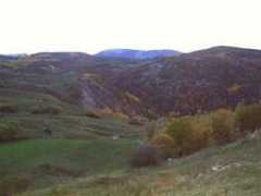 confluence.org Kumoglu