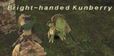 ffxi.wikkid.ca Kunber