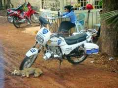 Kunchi