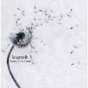 thisnext.com Kunek