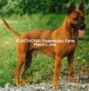 thairidgeback.org Kunthong