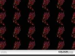 colourlovers.com Kupusamy