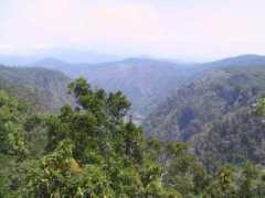 stevelionel.com Kuranda