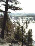 oregonlive.com Kurland