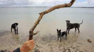 theage.com.au Kurnell