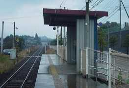 misakitty-station.com Kurogo