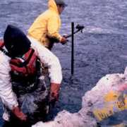 response.restoration.noaa.gov Kuroshima