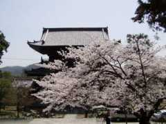 nucleng.kyoto-u.ac.jp Kurotani