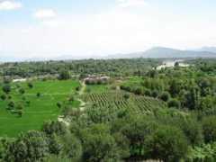 Kurram