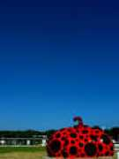 Kusama