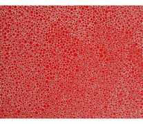 Kusama