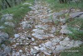 obcasnik.doli.si Kusev