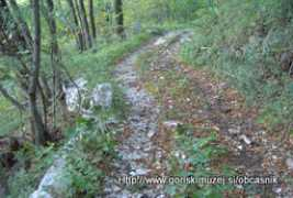 obcasnik.doli.si Kusev