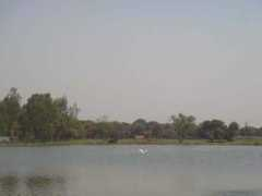 panoramio.com Kushak