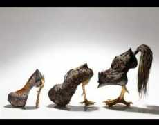 express.co.uk Kushino