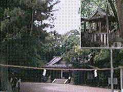 kamnavi.jp Kusime